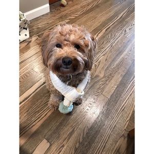 Meet your Posher, Ryan